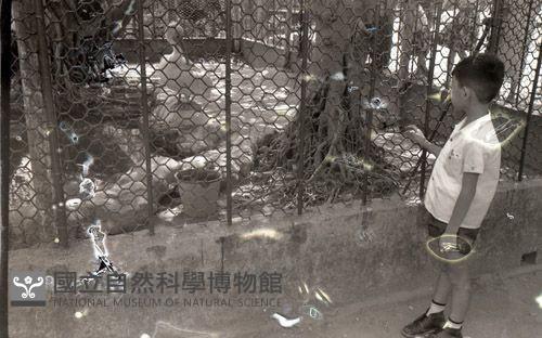 1950至2006年臺灣常民生活藏品圖，第1張