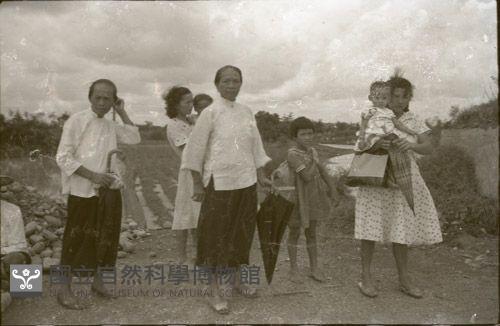 1950至2006年臺灣常民生活藏品圖，第1張