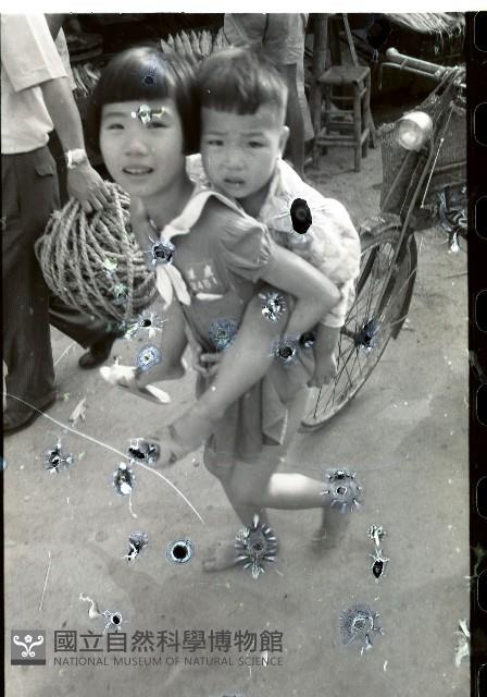 1950至2006年臺灣常民生活藏品圖，第1張