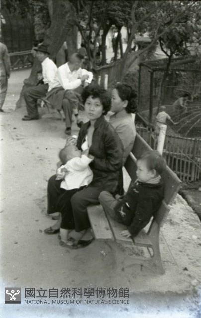 1950至2006年臺灣常民生活藏品圖，第1張