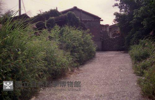 1950至2006年臺灣常民生活藏品圖，第1張
