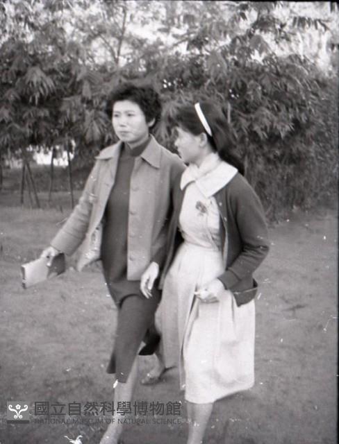 1950至2006年台灣常民生活藏品圖，第1張