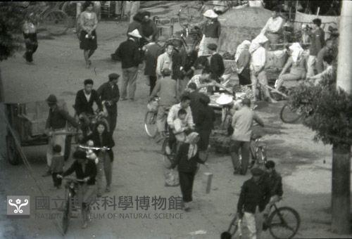 1950至2006年臺灣常民生活藏品圖，第1張