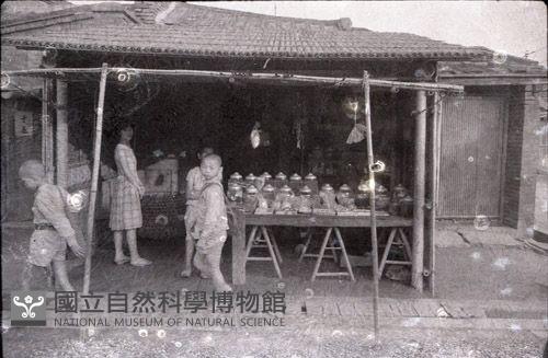 1950至2006年臺灣常民生活藏品圖，第1張
