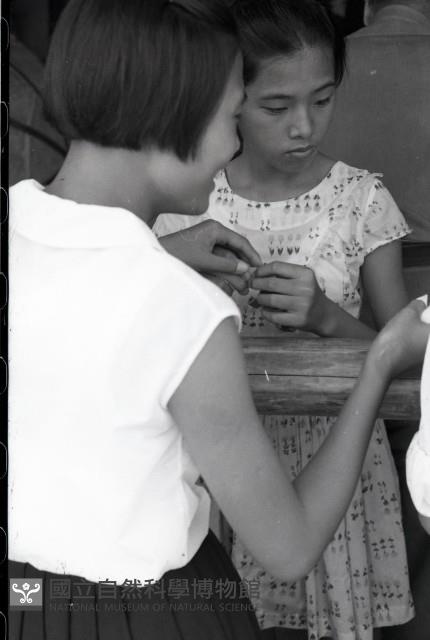 1950至2006年臺灣常民生活藏品圖，第1張