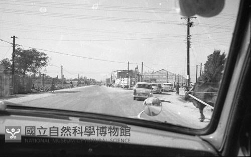 1950至2006年臺灣常民生活藏品圖，第1張