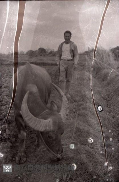 1950至2006年臺灣常民生活藏品圖，第1張