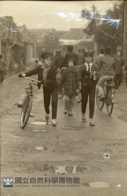 1950至2006年臺灣常民生活藏品圖，第1張