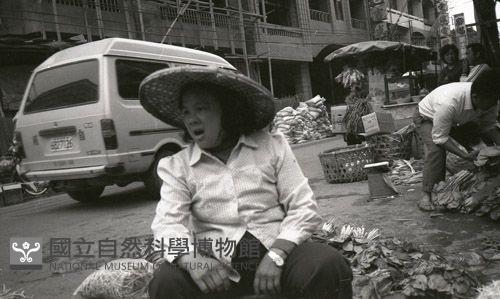 1950至2006年臺灣常民生活藏品圖，第1張