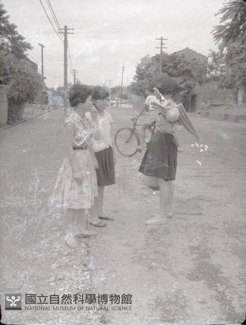 1950至2006年臺灣常民生活藏品圖，第1張