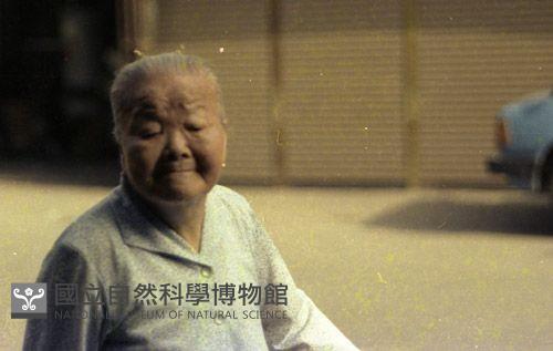 1950至2006年臺灣常民生活藏品圖，第1張