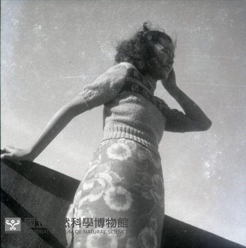 1950至2006年臺灣常民生活藏品圖，第1張