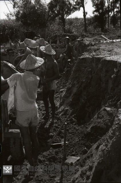 1950至2006年臺灣常民生活藏品圖，第1張