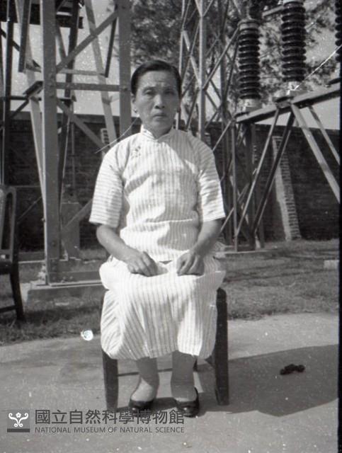 1950至2006年台灣常民生活藏品圖，第1張