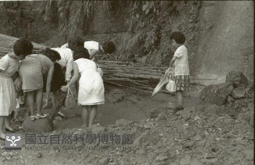 1950至2006年臺灣常民生活藏品圖，第1張