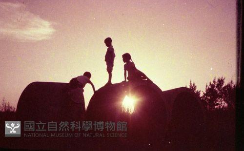 1950至2006年臺灣常民生活藏品圖，第1張