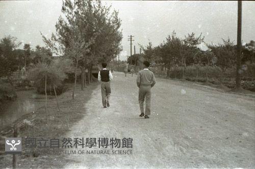 1950至2006年臺灣常民生活藏品圖，第1張