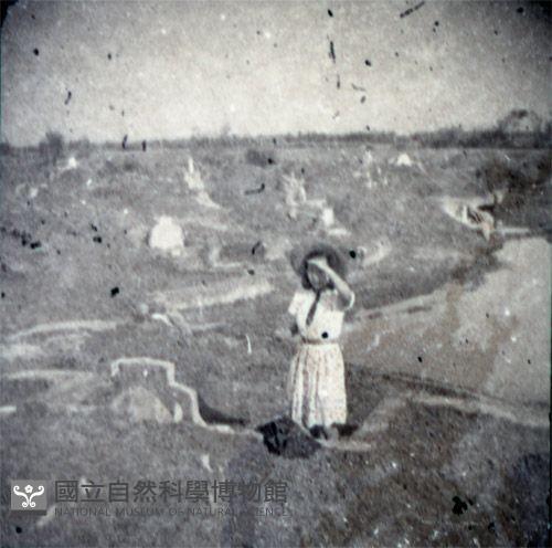 1950至2006年臺灣常民生活藏品圖，第1張