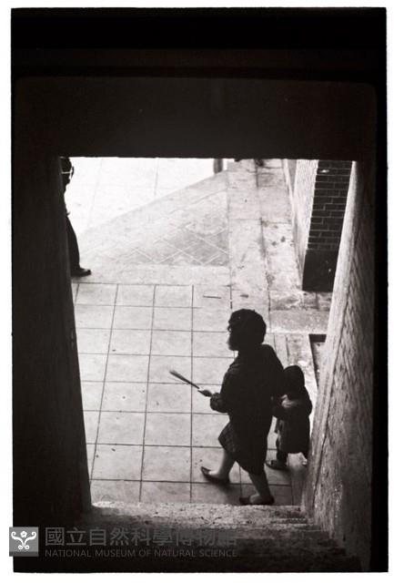 1950至2006年臺灣常民生活藏品圖，第1張