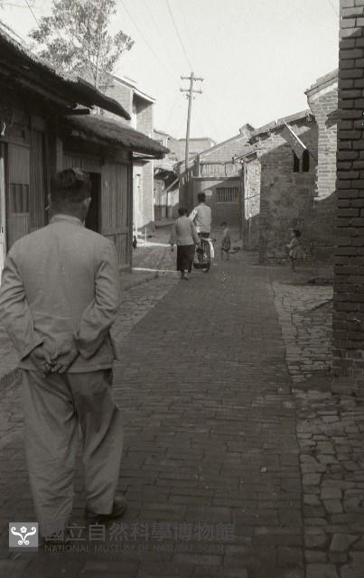 1950至2006年臺灣常民生活藏品圖，第1張