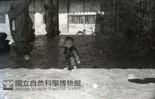 1950至2006年臺灣常民生活藏品圖，第1張