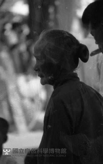 1950至2006年臺灣常民生活藏品圖，第1張