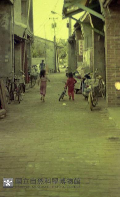 1950至2006年臺灣常民生活藏品圖，第1張