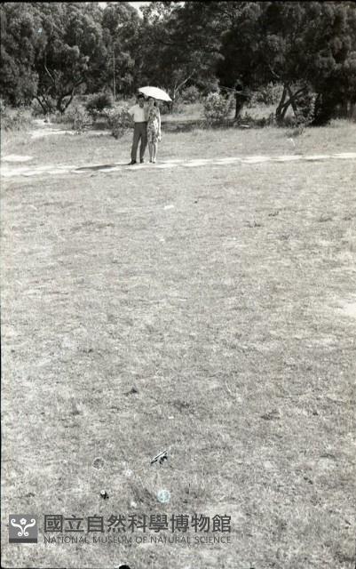 1950至2006年臺灣常民生活藏品圖，第1張