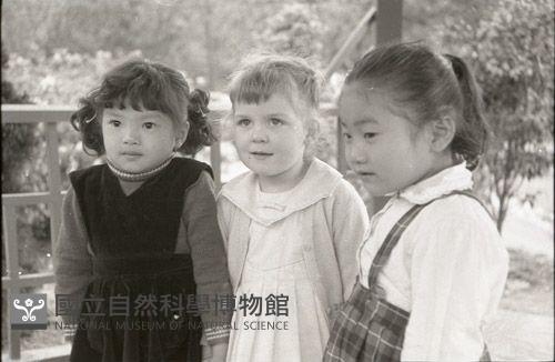 1950至2006年臺灣常民生活藏品圖，第1張