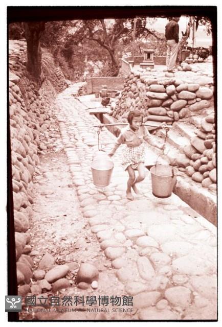 1950至2006年臺灣常民生活藏品圖，第1張