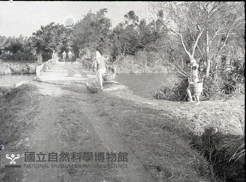 1950至2006年臺灣常民生活藏品圖，第1張