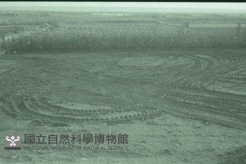 1950至2006年台灣常民生活藏品圖，第1張