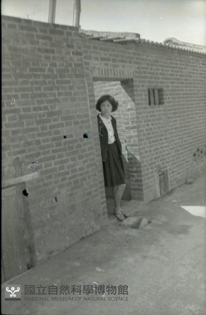1950至2006年臺灣常民生活藏品圖，第1張