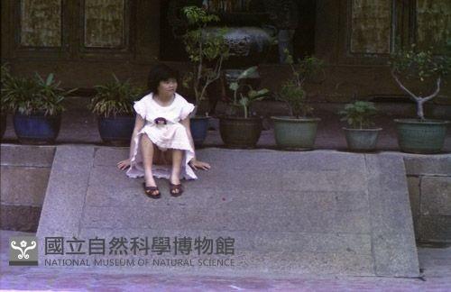 1950至2006年臺灣常民生活藏品圖，第1張
