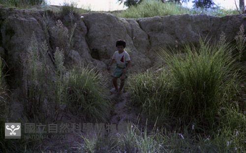 1950至2006年臺灣常民生活藏品圖，第1張