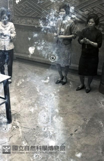 1950至2006年臺灣常民生活藏品圖，第1張