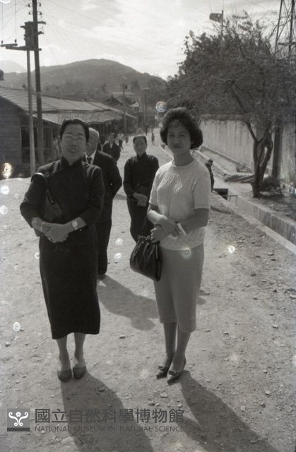 1950至2006年臺灣常民生活藏品圖，第1張
