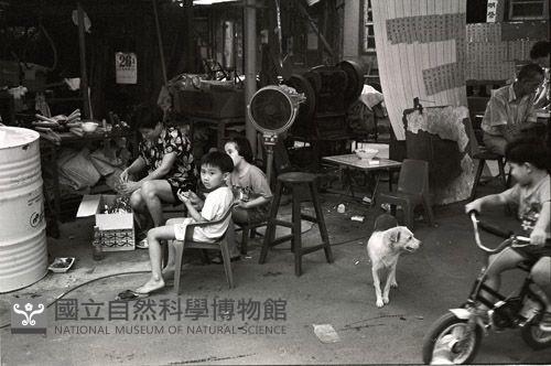 1950至2006年臺灣常民生活藏品圖，第1張