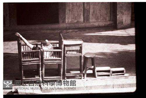 1950至2006年臺灣常民生活藏品圖，第1張