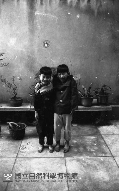 1950至2006年臺灣常民生活藏品圖，第1張