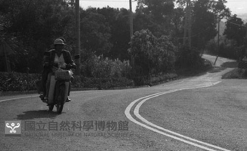 1950至2006年臺灣常民生活藏品圖，第1張