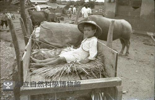 1950至2006年臺灣常民生活藏品圖，第1張