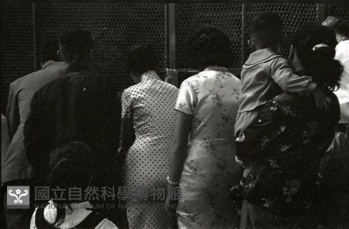 1950至2006年臺灣常民生活藏品圖，第1張