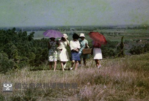 1950至2006年臺灣常民生活藏品圖，第1張