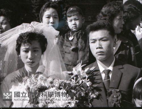 1950至2006年臺灣常民生活藏品圖，第1張