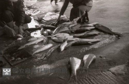 1950至2006年臺灣常民生活藏品圖，第1張