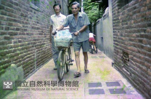 1950至2006年臺灣常民生活藏品圖，第1張