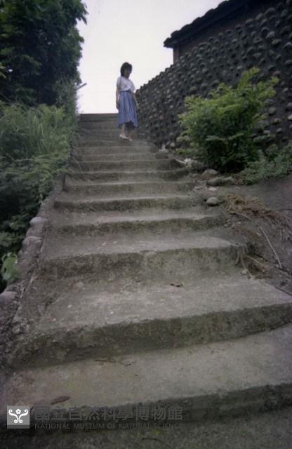 1950至2006年臺灣常民生活藏品圖，第1張