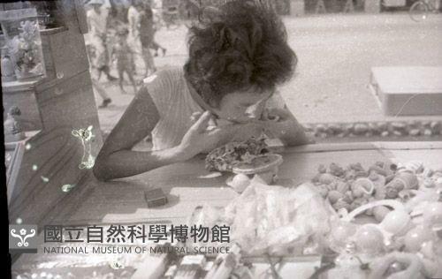 1950至2006年台灣常民生活藏品圖，第1張