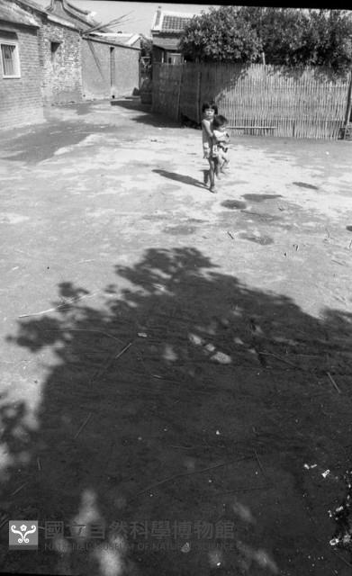 1950至2006年臺灣常民生活藏品圖，第1張